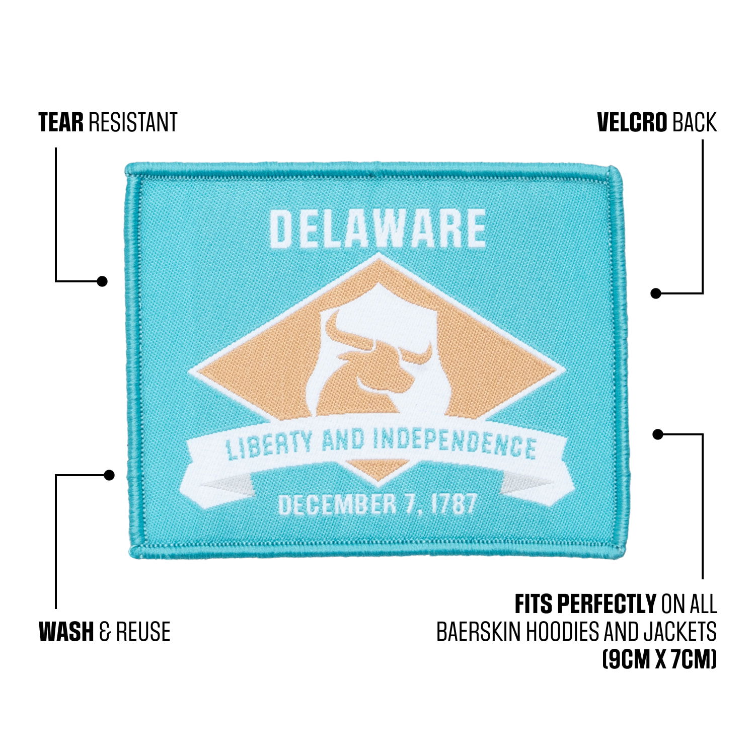 bs-patch-delaware-infographic.jpg